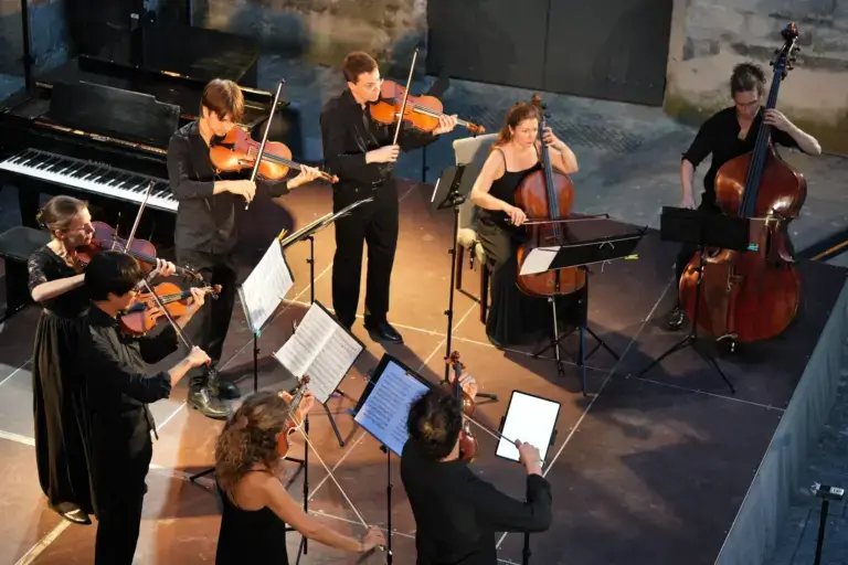 Concert au château de Suze-la-Rousse